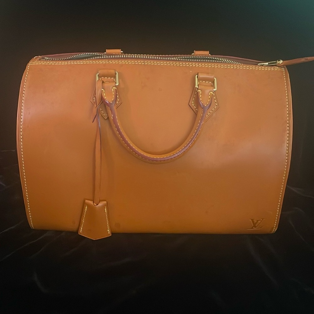 Louis Vuitton Nomade Speedy Bag